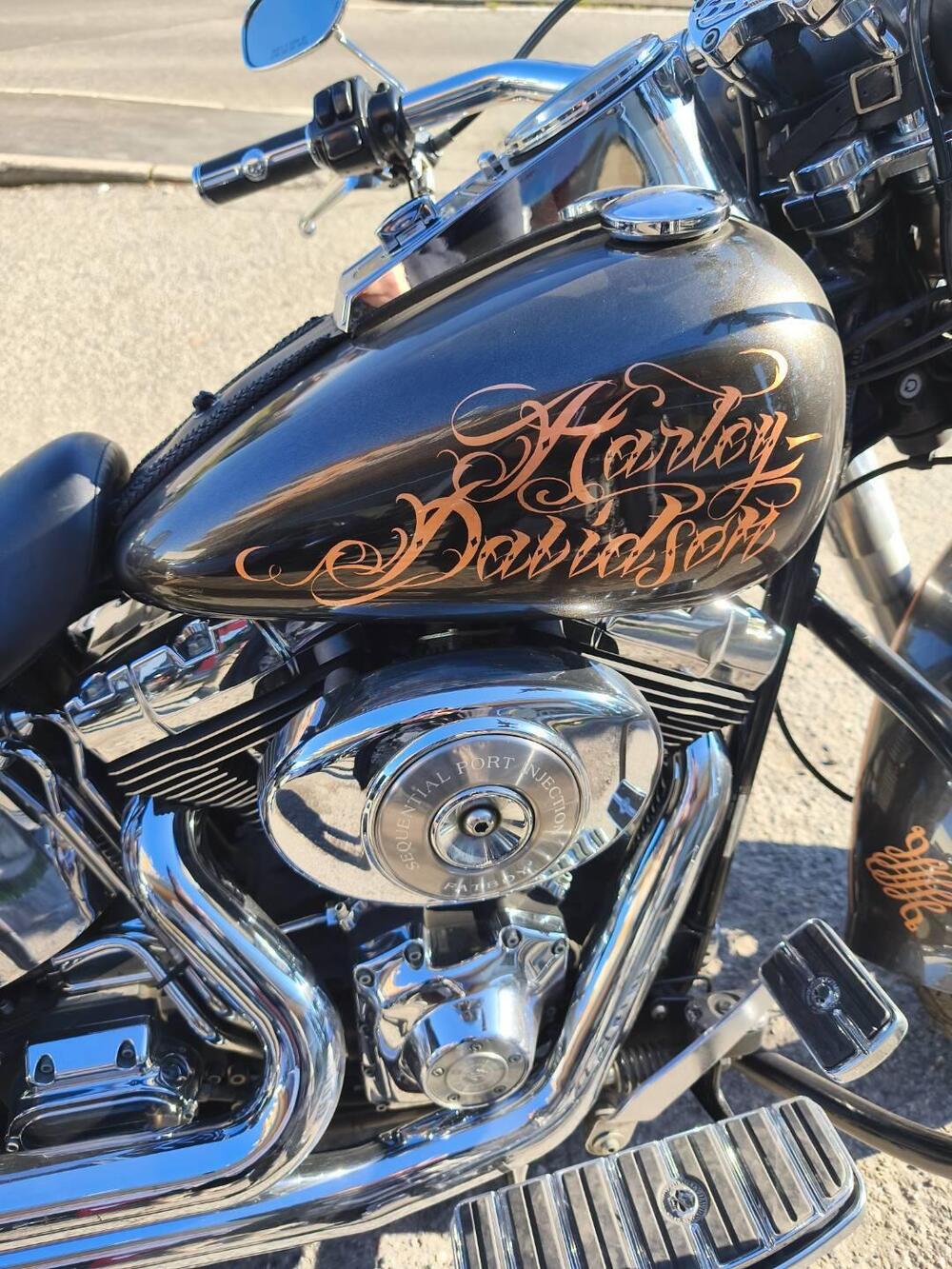 Harley-Davidson 1450 Fat Boy (2003 - 06) - FLSTFI (4)