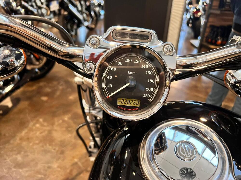 Harley-Davidson 1200 Custom (2007 - 13) - XL 1200C (7)