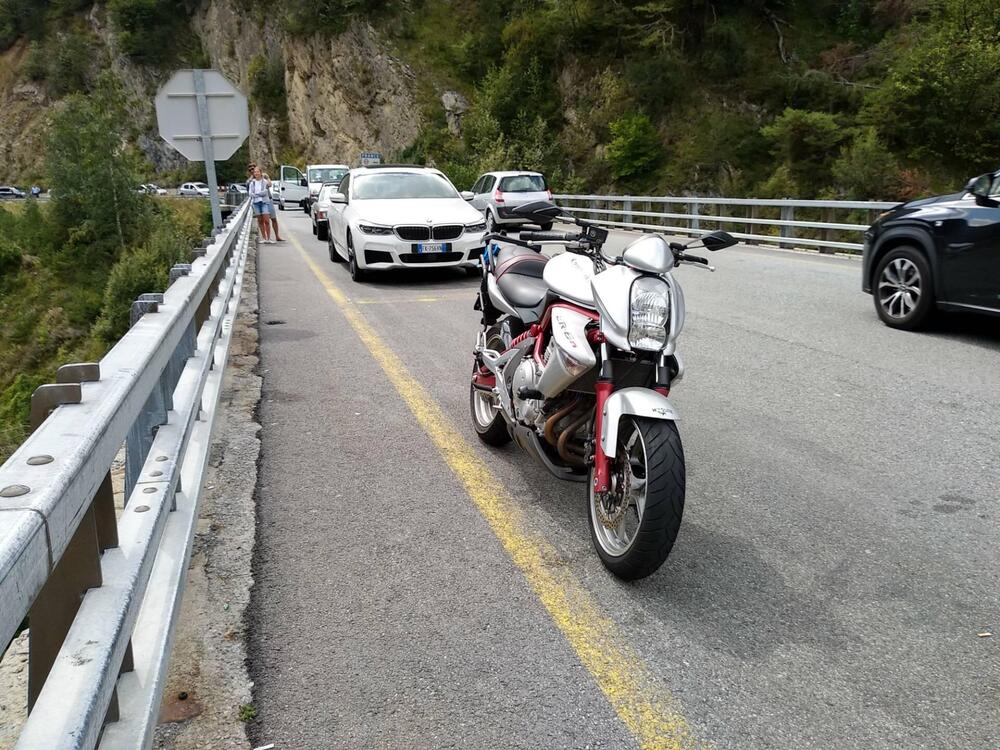 Kawasaki ER-6N (2005 - 08) (2)