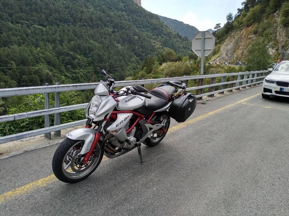 Kawasaki ER-6N (2005 - 08) (4)