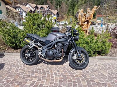 Triumph Speed Triple 1050 (2005 - 11) usata
