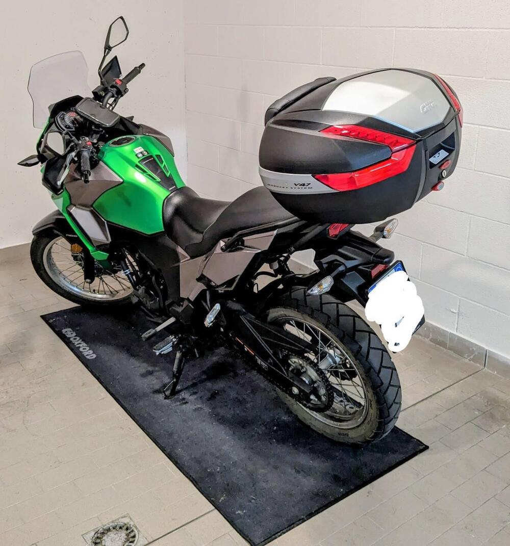 Kawasaki Versys-X 300 (2017 - 20) (3)