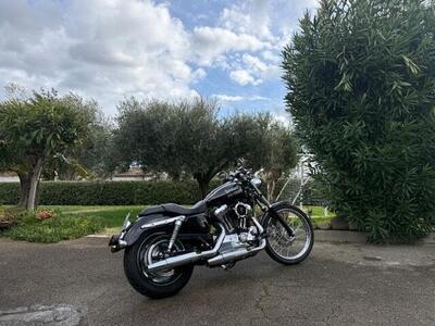 Harley-Davidson 1200 Custom (2001 - 03) - XL 1200C usata
