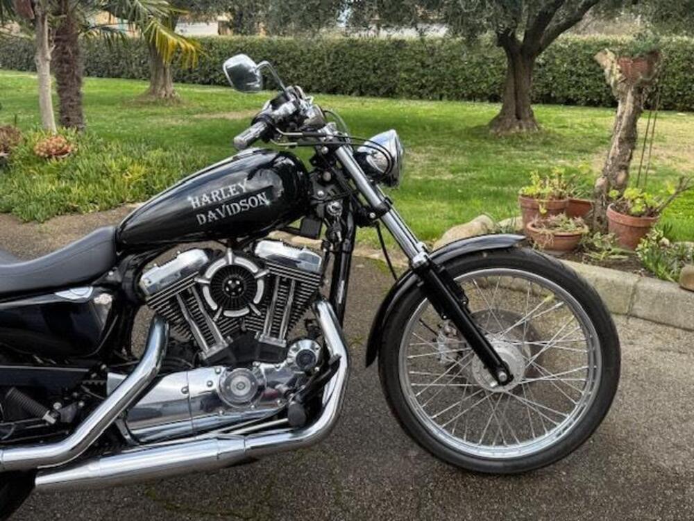 Harley-Davidson 1200 Custom (2001 - 03) - XL 1200C (2)