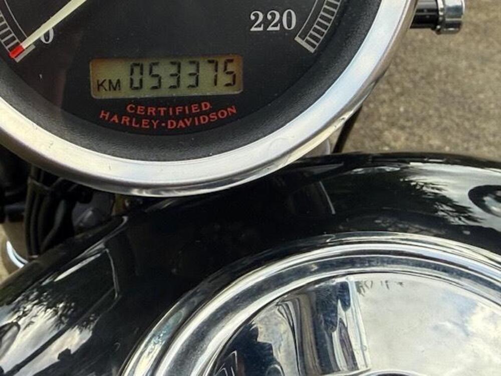 Harley-Davidson 1200 Custom (2001 - 03) - XL 1200C (10)