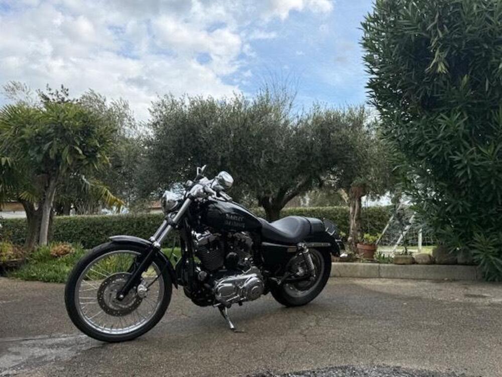 Harley-Davidson 1200 Custom (2001 - 03) - XL 1200C (11)