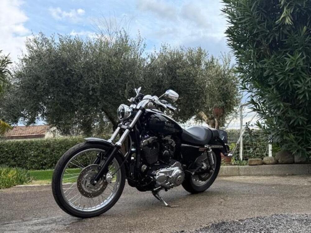 Harley-Davidson 1200 Custom (2001 - 03) - XL 1200C (17)