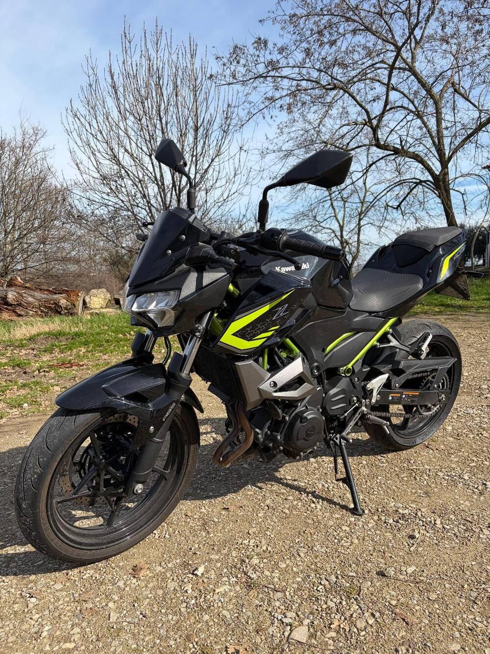 Kawasaki Z 400 (2019 - 20) (3)