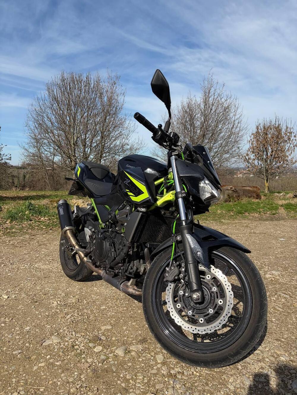 Kawasaki Z 400 (2019 - 20) (2)