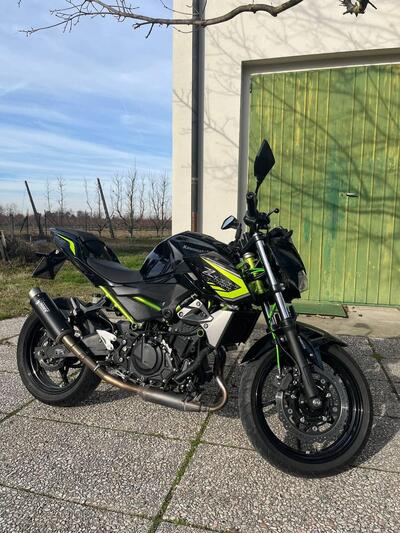 Kawasaki Z 400 (2019 - 20) usata