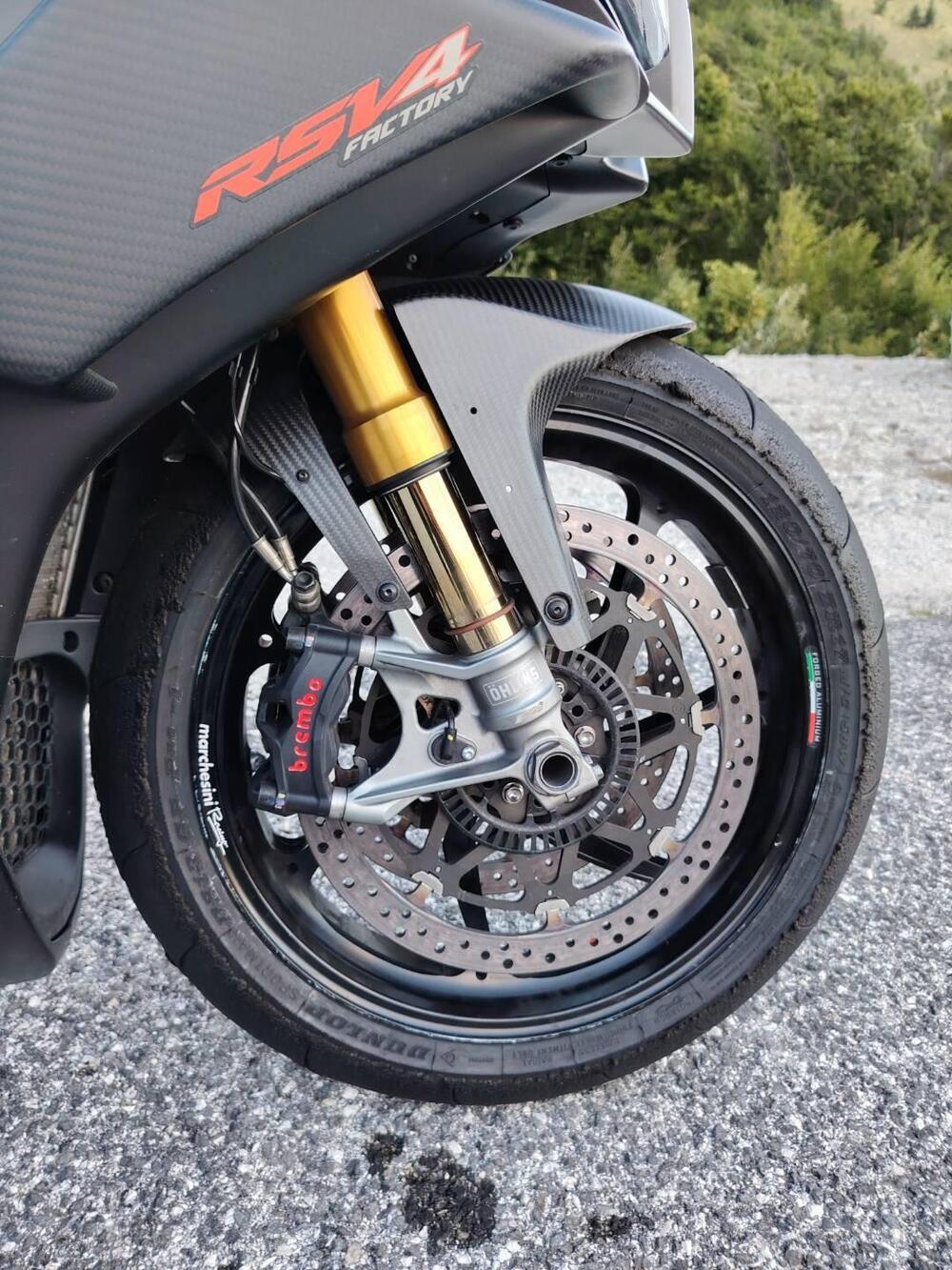 Aprilia RSV4 1100 Factory (2019 - 20) (4)