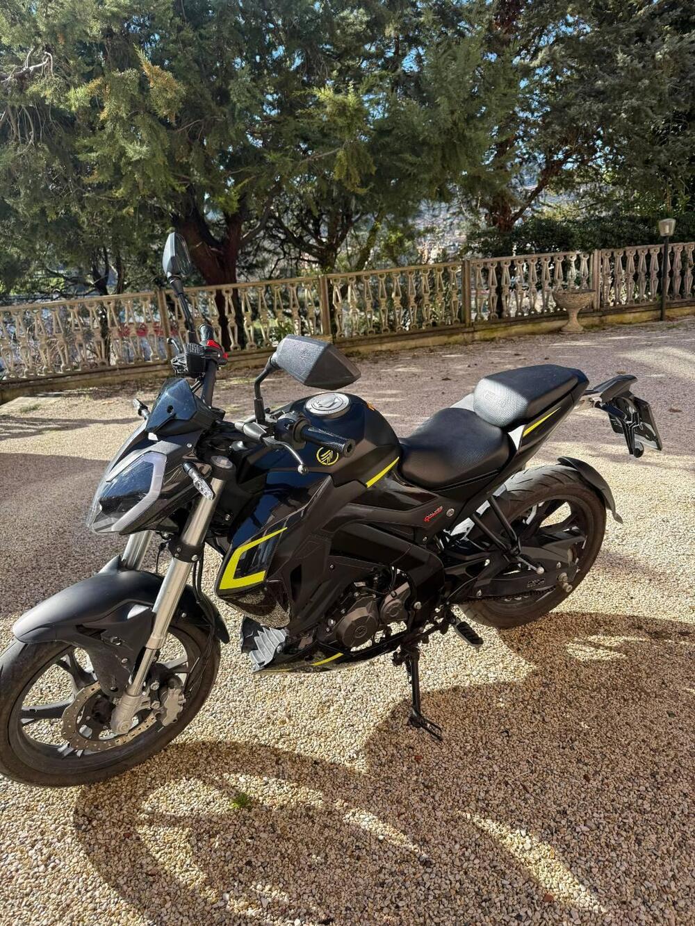 Keeway Motor RKF 125 (2021 - 24) (4)