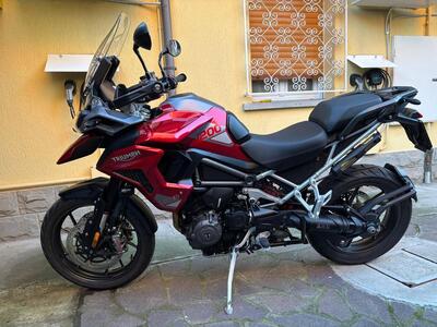 Triumph Tiger 1200 GT Pro (2024 - 26) usata