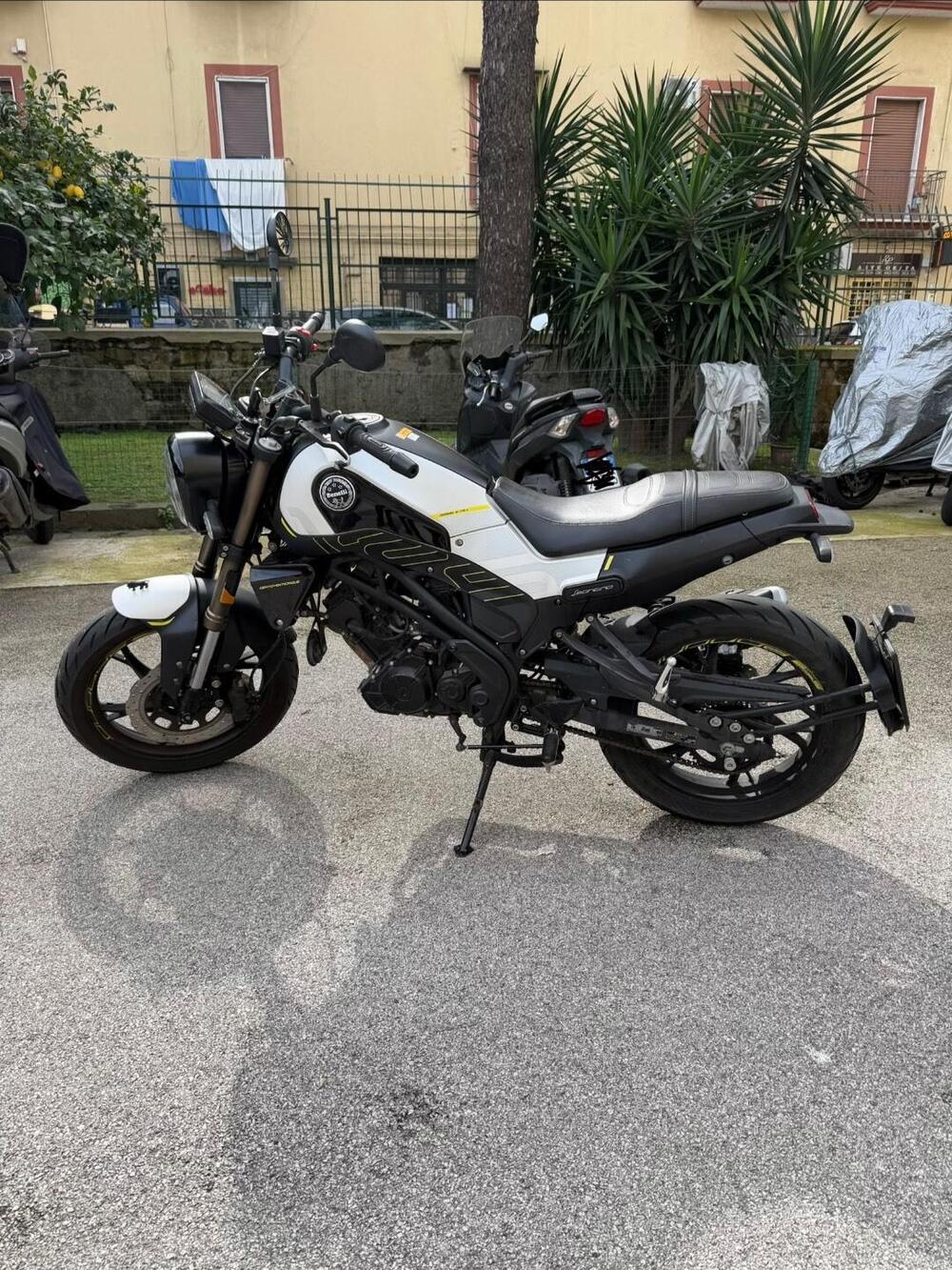 Benelli Leoncino 125 (2022 - 25) (2)