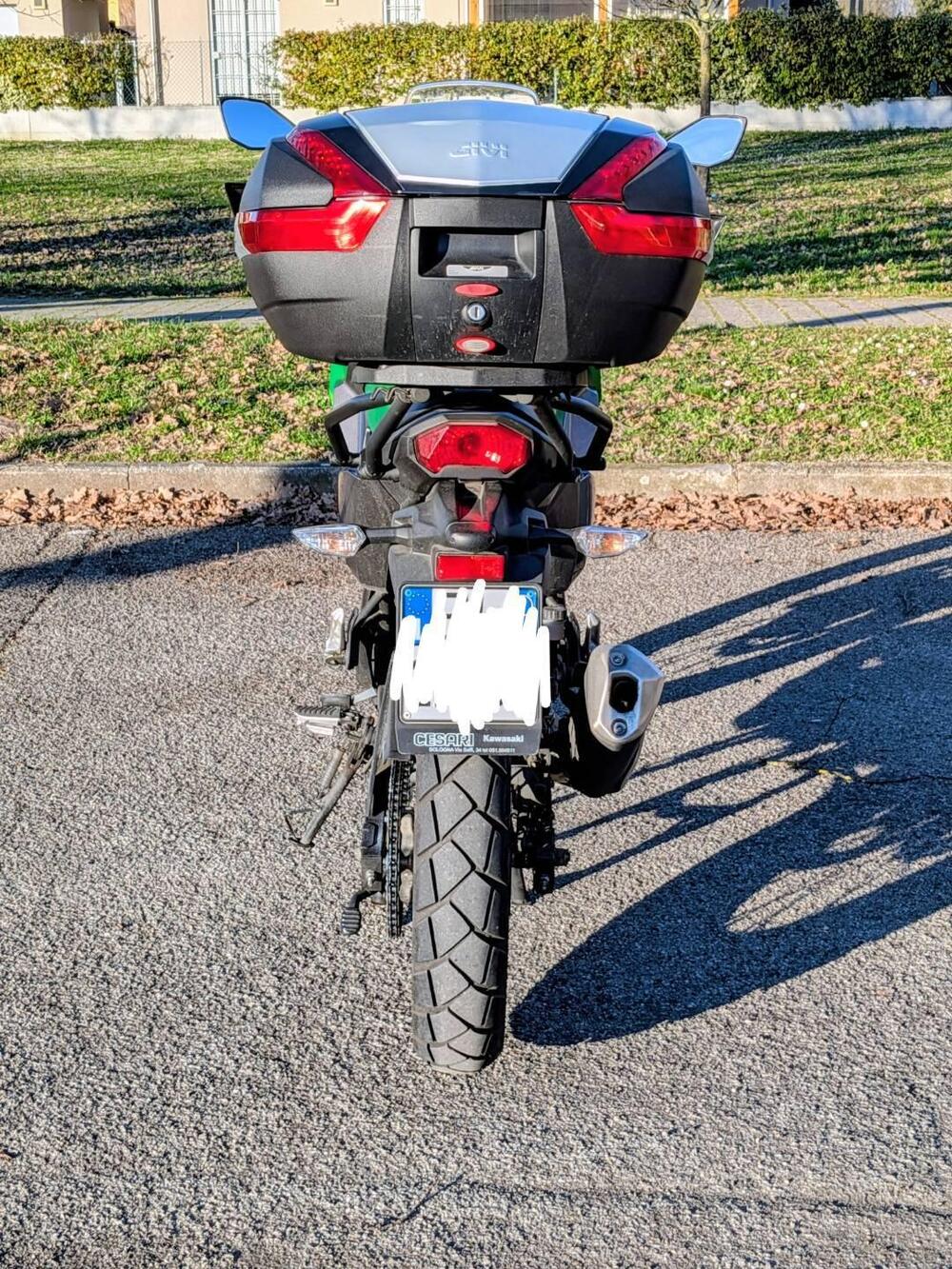 Kawasaki Versys-X 300 (2017 - 20) (8)