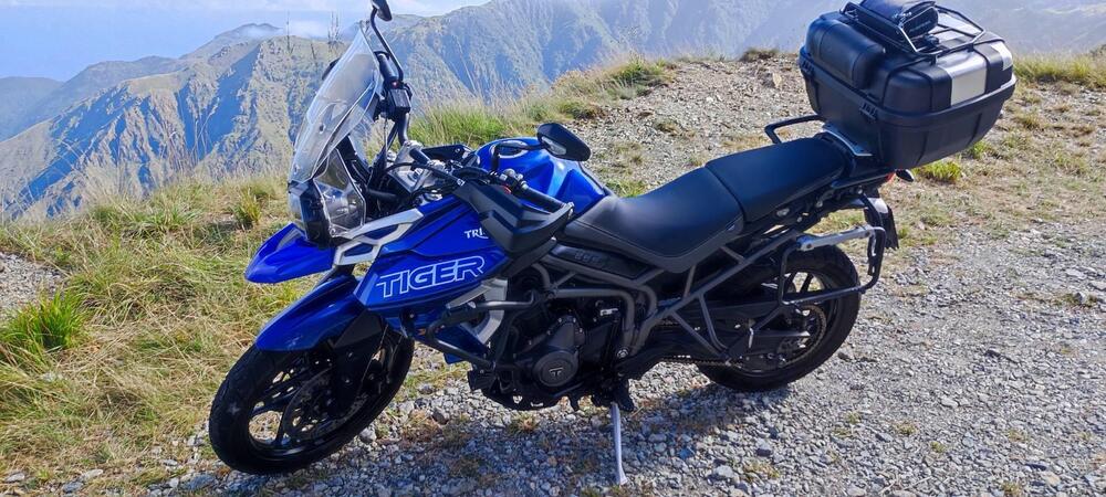 Triumph Tiger 800 XRx (2018 - 20) (3)