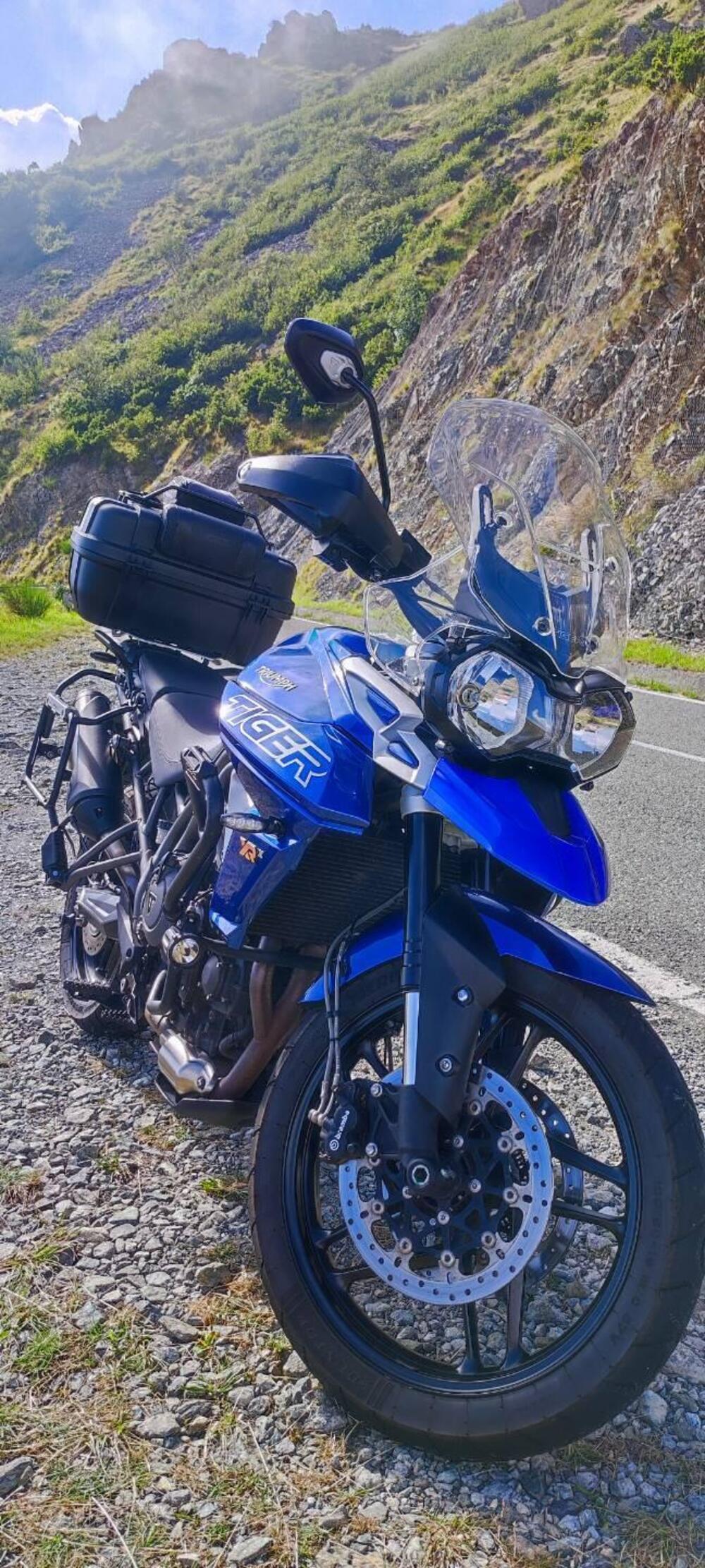 Triumph Tiger 800 XRx (2018 - 20) (4)