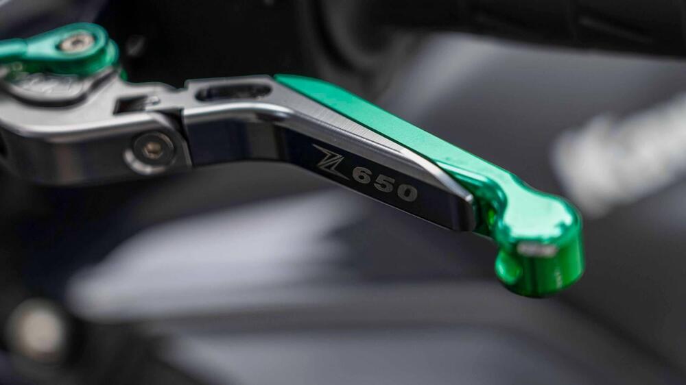 Kawasaki Z 650 (2017 - 19) (18)