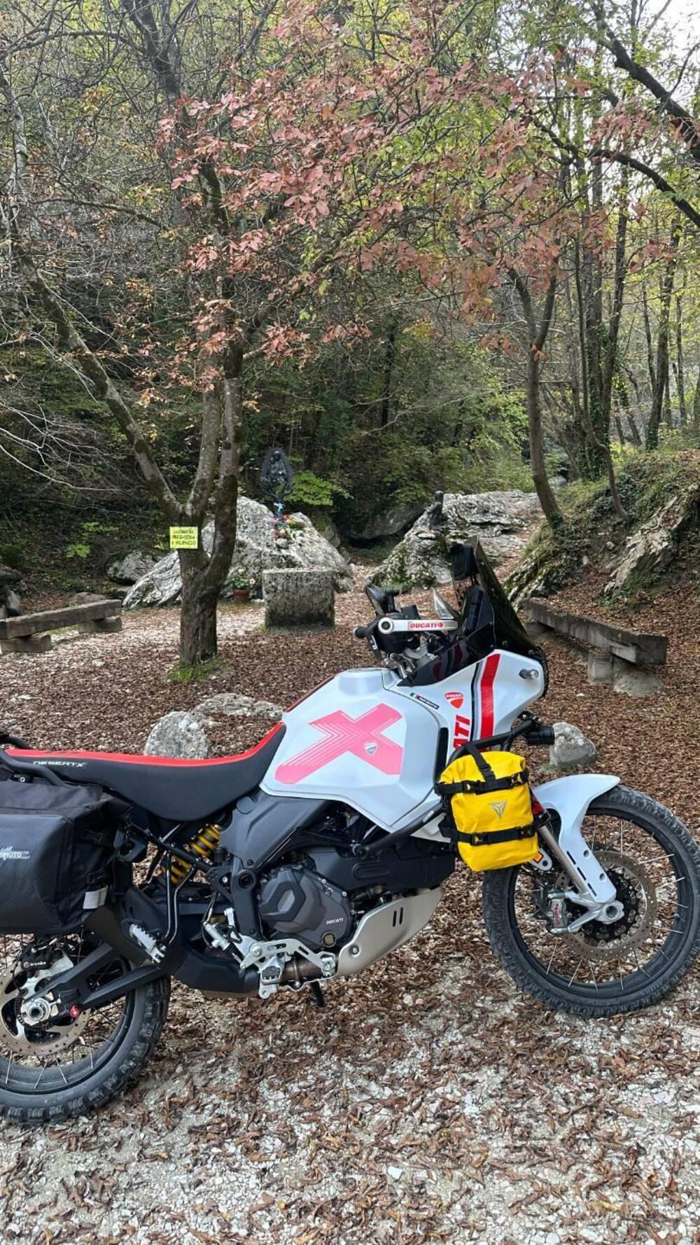 Ducati DesertX (2022 - 25) (3)