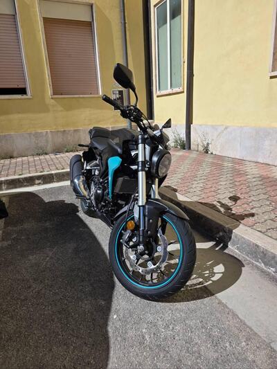 Honda CB 300 R (2018 - 19) usata