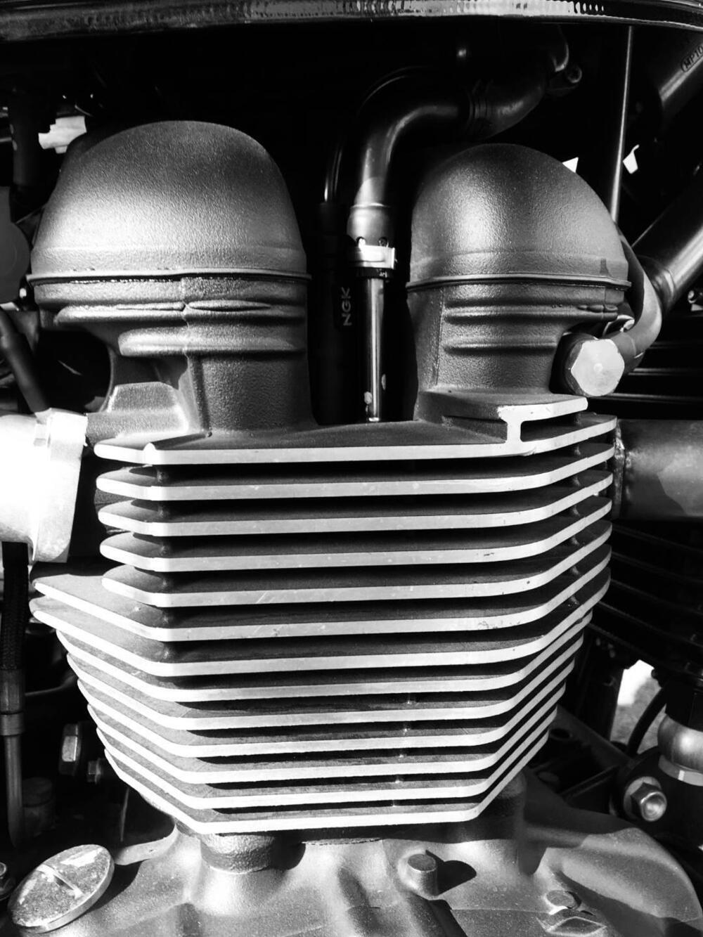 Triumph Bonneville T100 (2008 - 16) (3)