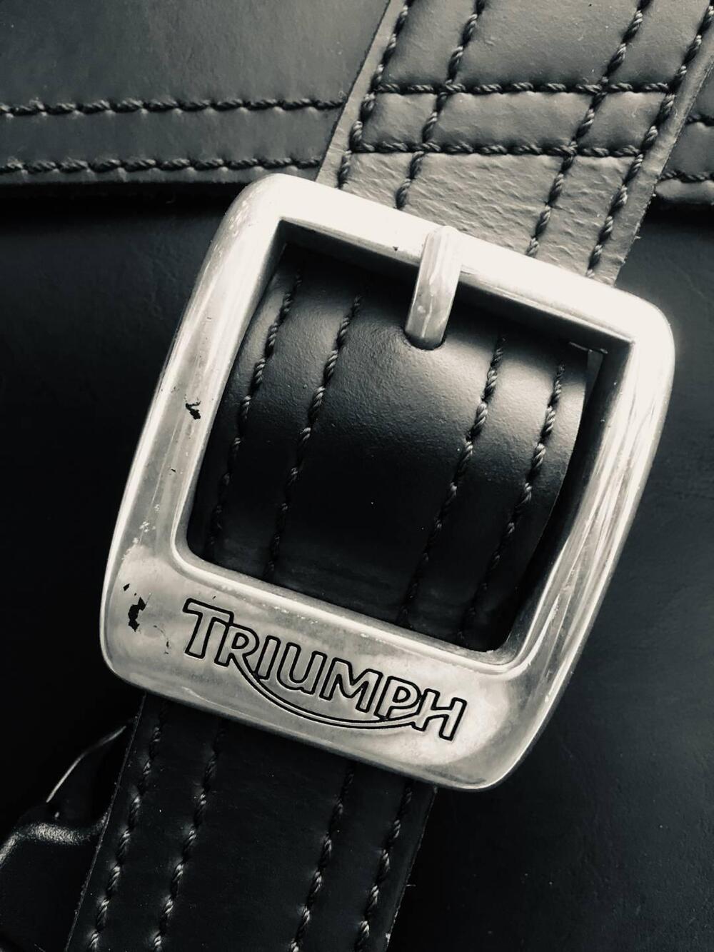 Triumph Bonneville T100 (2008 - 16) (5)