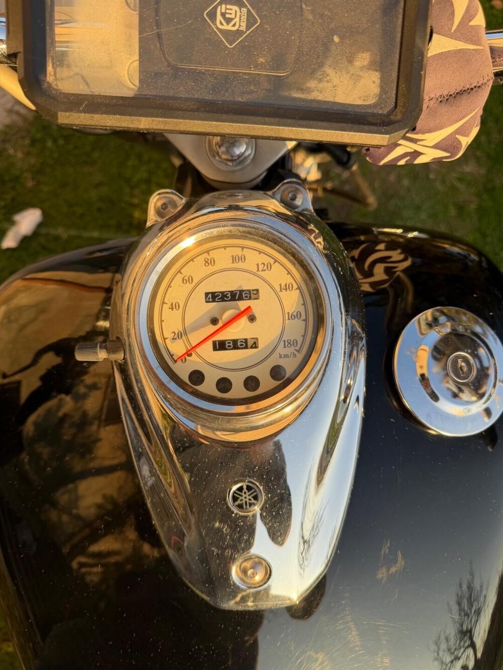 Yamaha XVS 650 Drag Star A Classic (1998 - 06) (6)