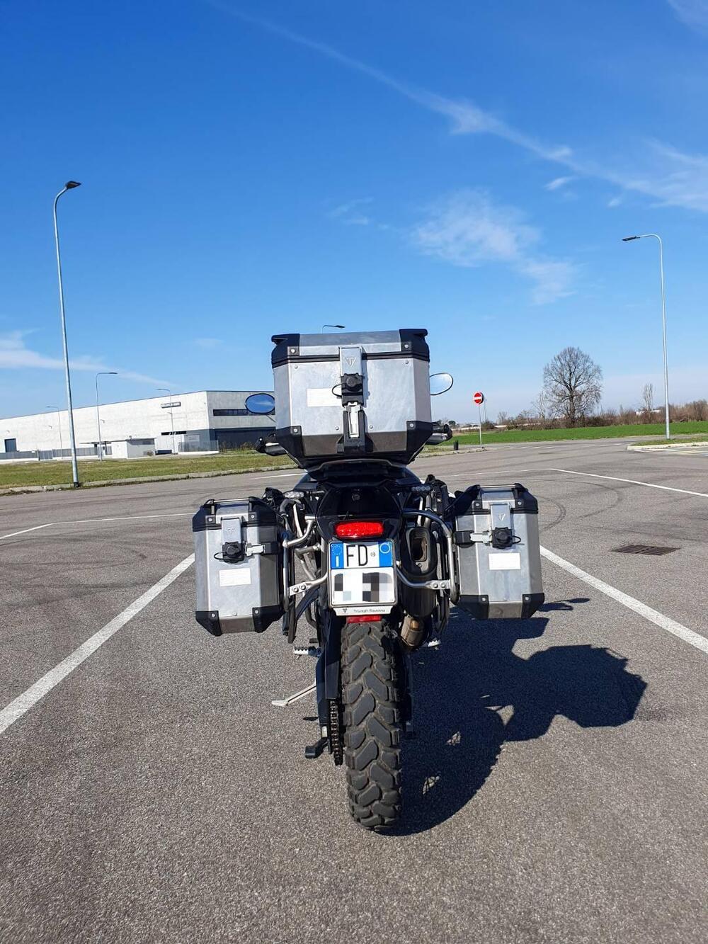 Triumph Tiger 900 Rally Pro (2020 - 23) (4)