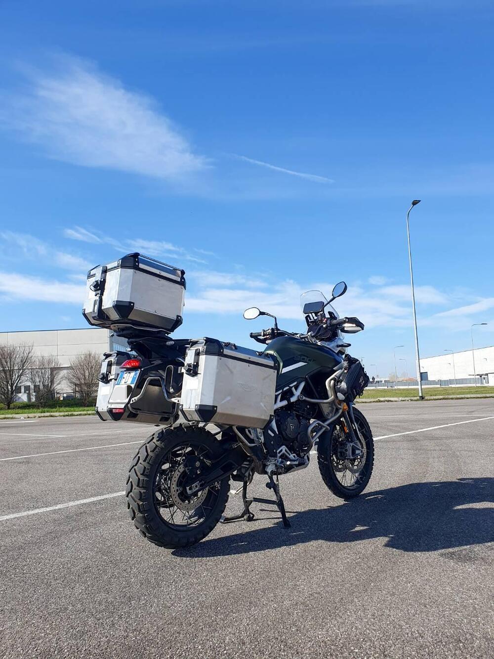 Triumph Tiger 900 Rally Pro (2020 - 23) (5)