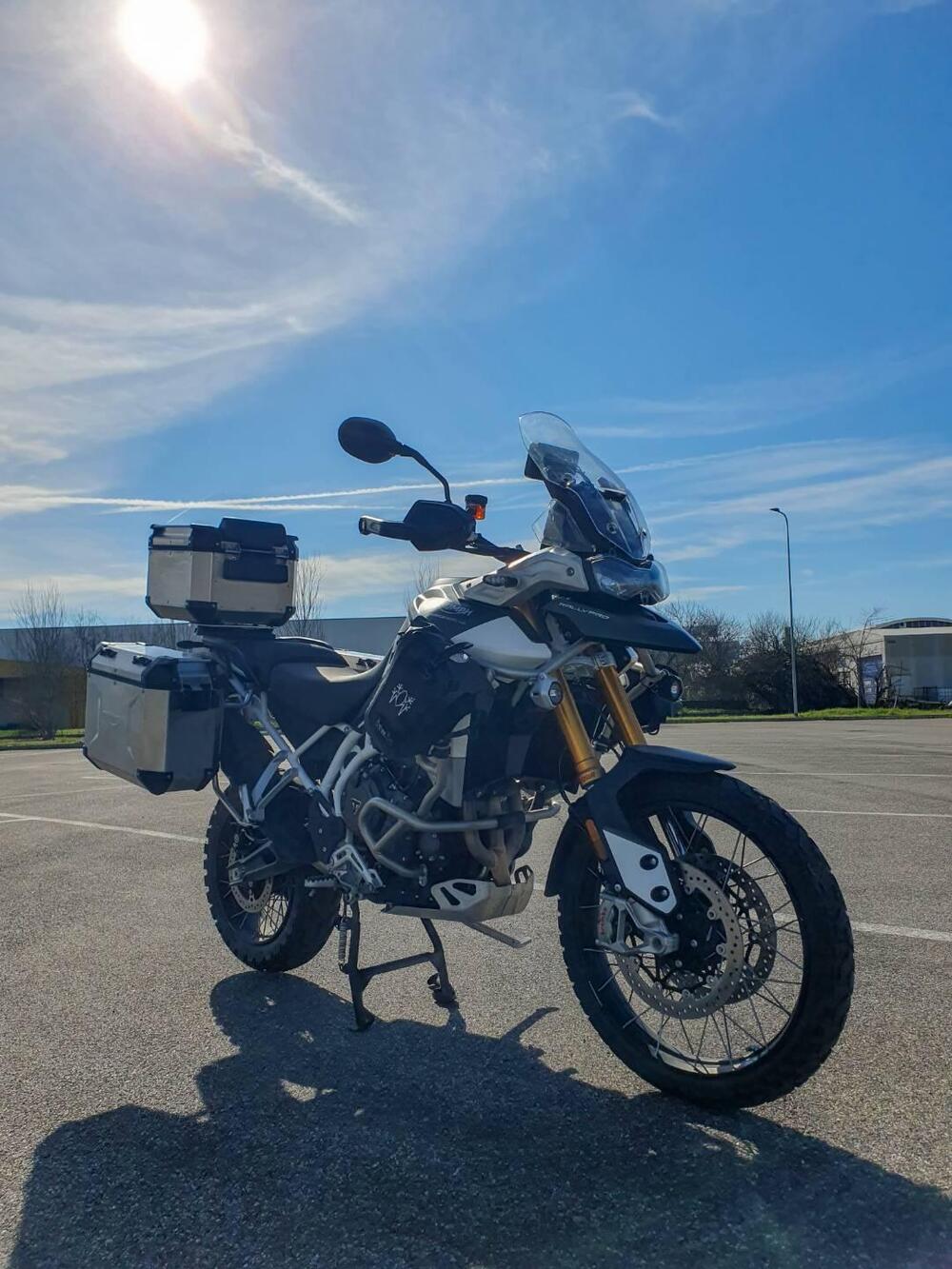 Triumph Tiger 900 Rally Pro (2020 - 23) (7)