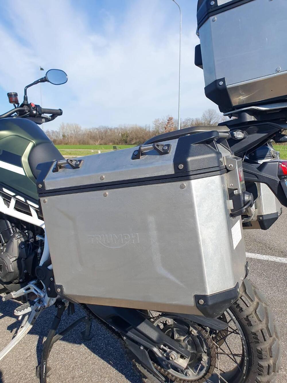 Triumph Tiger 900 Rally Pro (2020 - 23) (11)