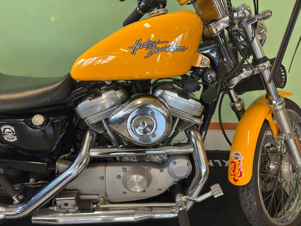 Harley-Davidson 883 Custom (2001 - 05) - XL 53C (8)