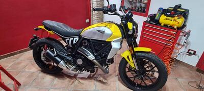 Ducati Scrambler 800 Icon (2023 - 24) usata