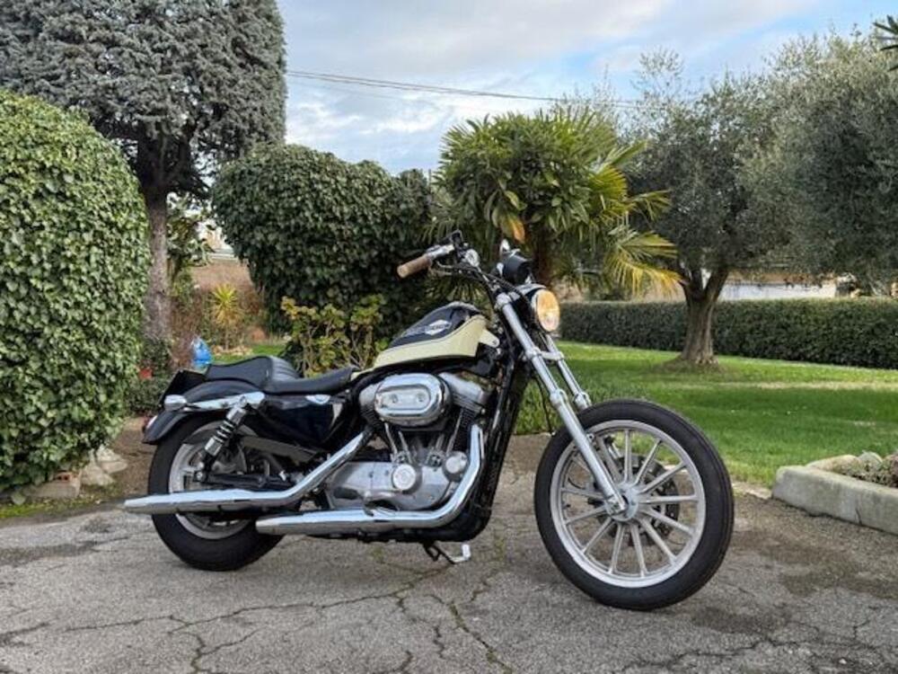 Harley-Davidson 883 Standard (2001 - 05) - XL 883 (2)