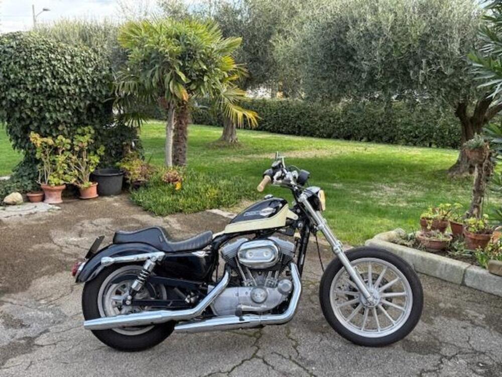 Harley-Davidson 883 Standard (2001 - 05) - XL 883 (3)