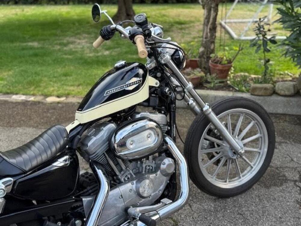 Harley-Davidson 883 Standard (2001 - 05) - XL 883 (7)