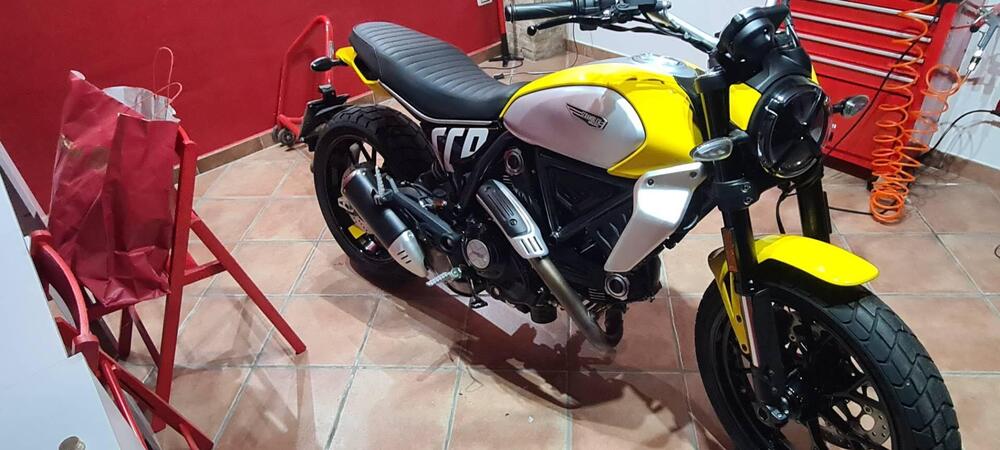 Ducati Scrambler 800 Icon (2023 - 24) (4)