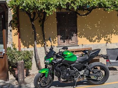 Kawasaki Z 650 (2020) usata
