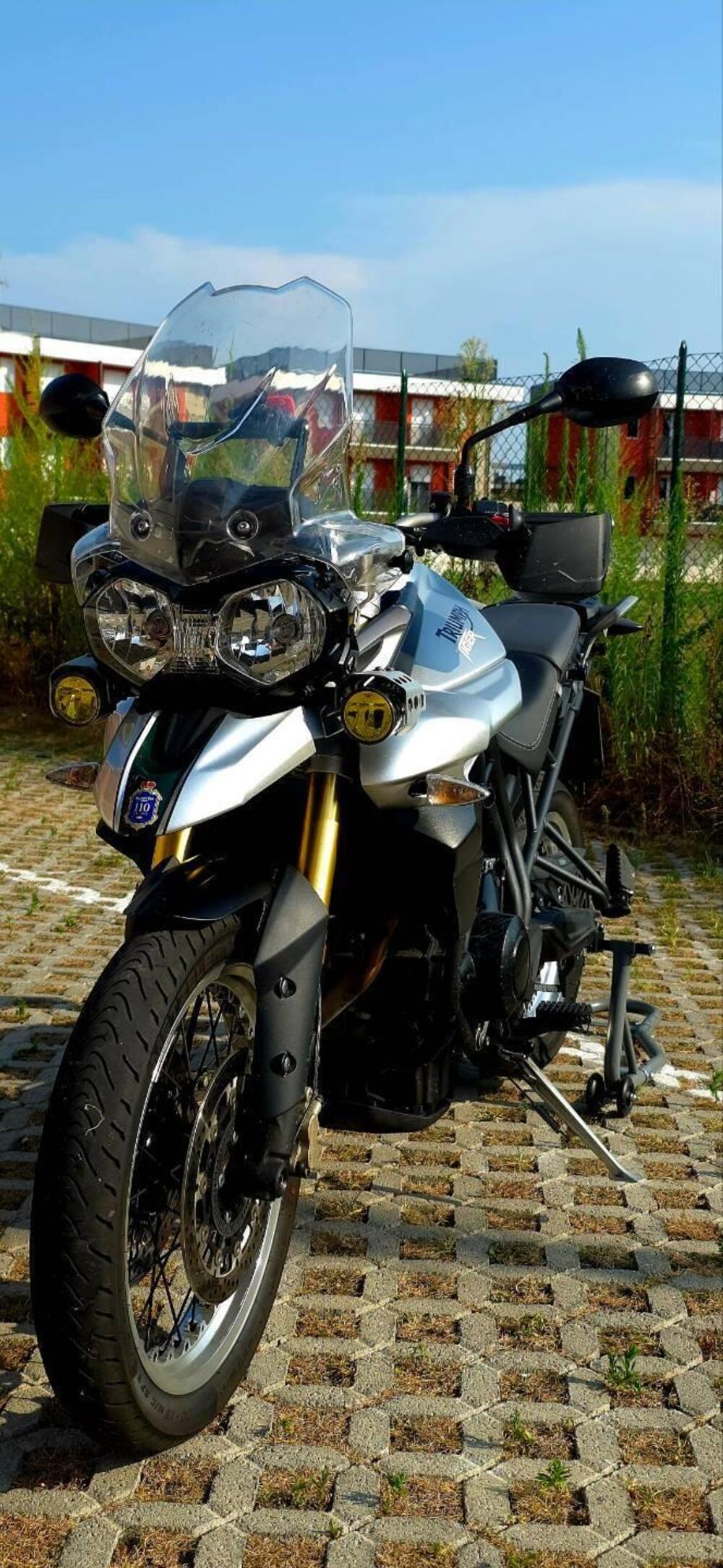 Triumph Tiger 800 ABS (2010 - 14) (4)