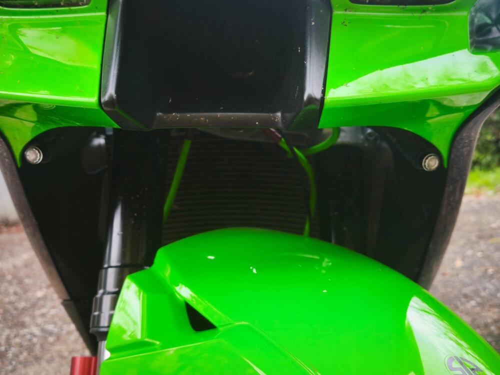 Kawasaki Ninja 1000 ZX-10R Performance (2021 - 24) (7)