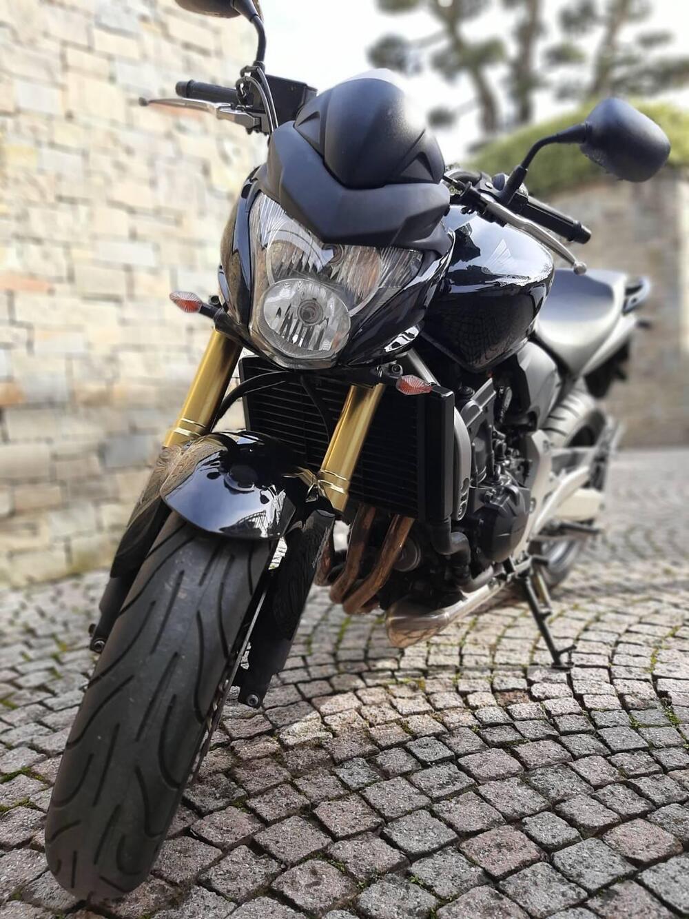 Honda Hornet 600 (2007 - 10) (2)