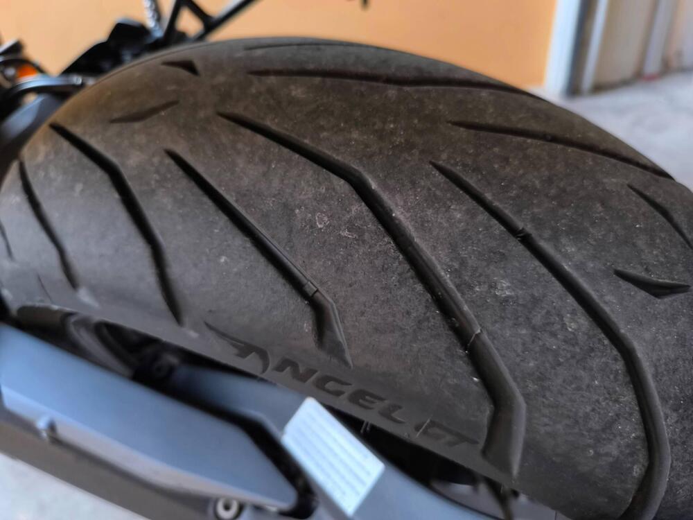 Ducati Scrambler 800 Icon (2017 - 20) (5)