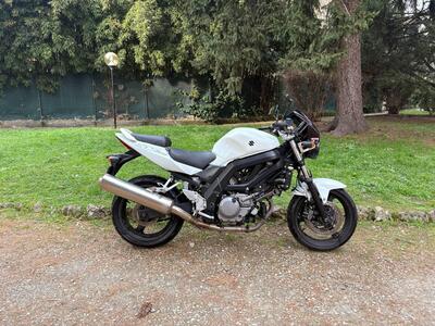 Suzuki SV 650 (2006 - 11) usata