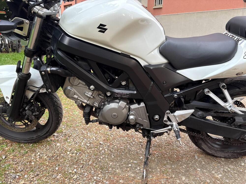 Suzuki SV 650 (2006 - 11) (4)