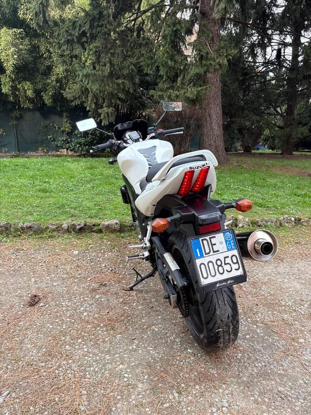 Suzuki SV 650 (2006 - 11) (7)