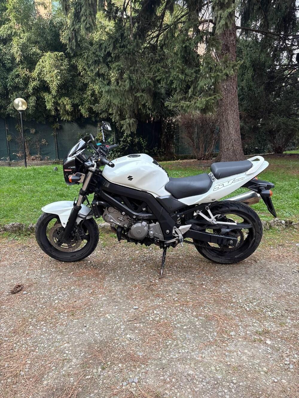 Suzuki SV 650 (2006 - 11) (8)