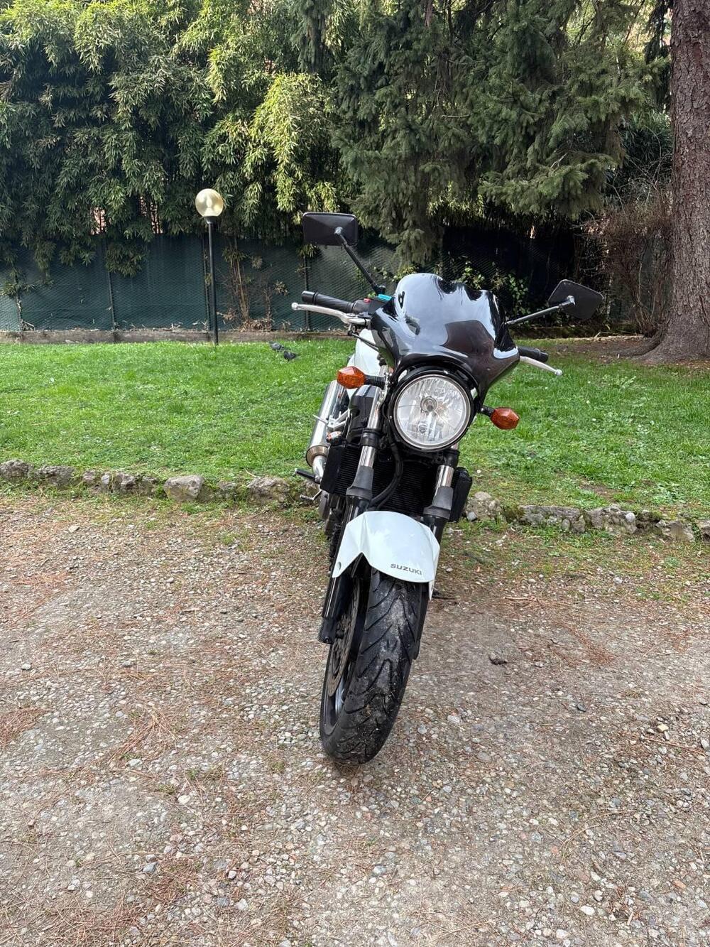 Suzuki SV 650 (2006 - 11) (10)