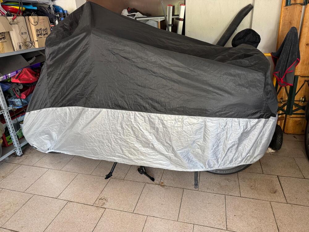 Bmw R 1250 R (2021 - 25) (15)