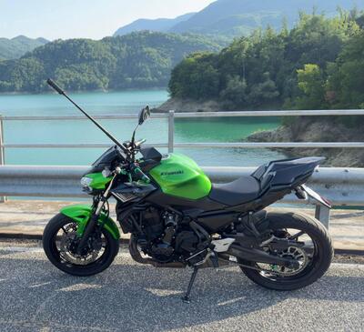 Kawasaki Z 650 (2020) usata