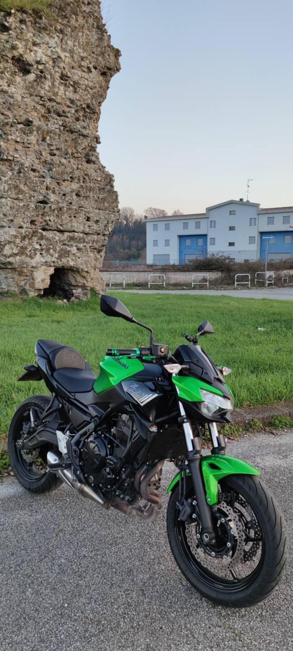 Kawasaki Z 650 (2020) (2)